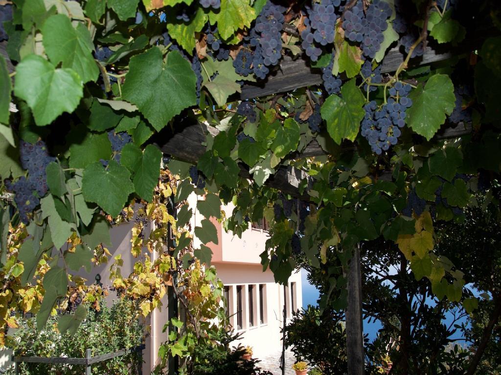 Villa Aglaini Áyios Dhimítrios エクステリア 写真