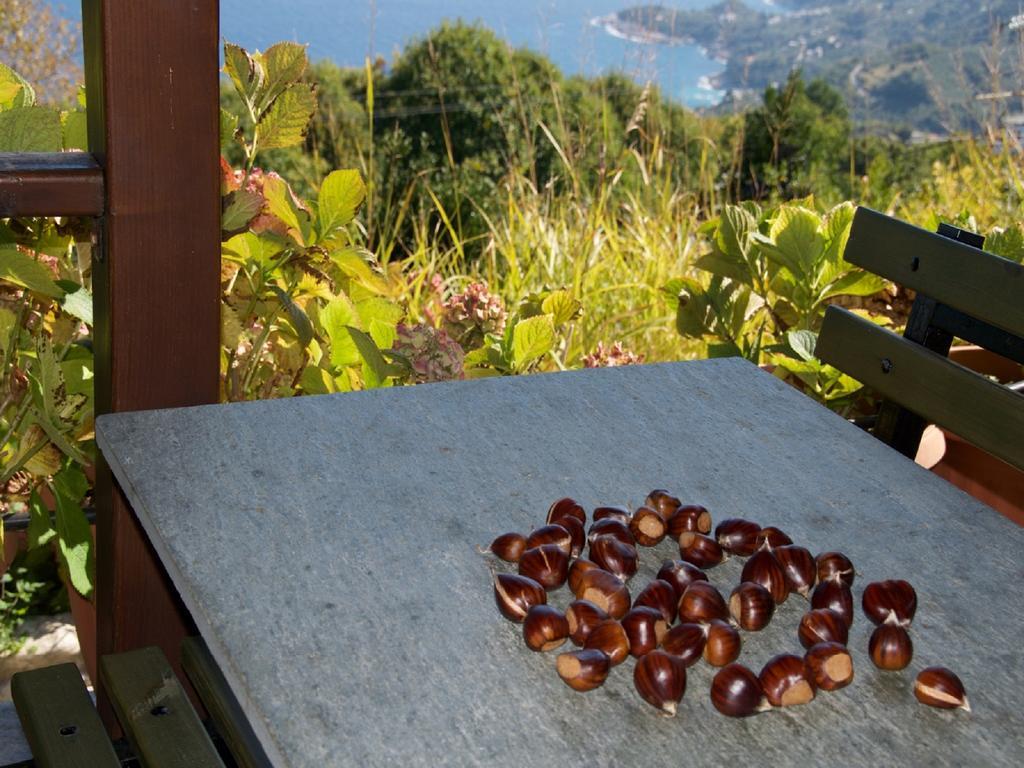 Villa Aglaini Áyios Dhimítrios エクステリア 写真