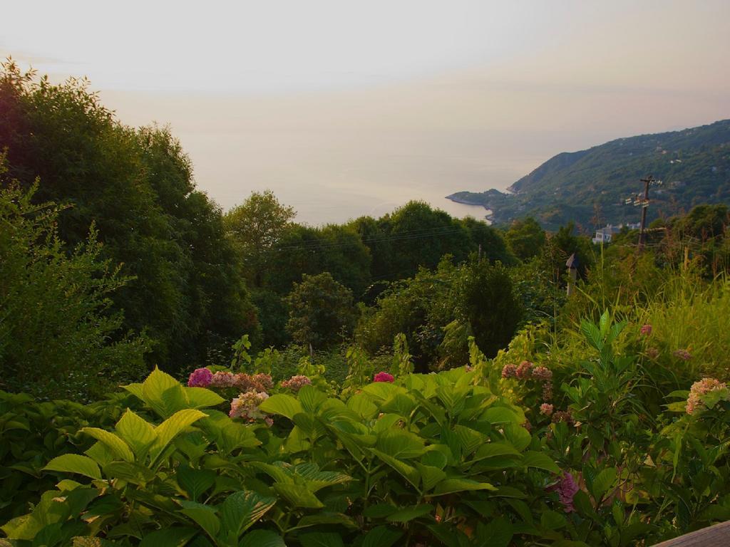 Villa Aglaini Áyios Dhimítrios エクステリア 写真